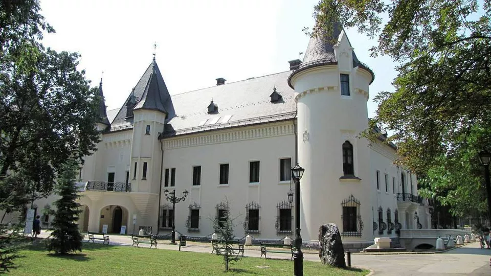 Castelul Karolyi, Peleșul din Maramureș