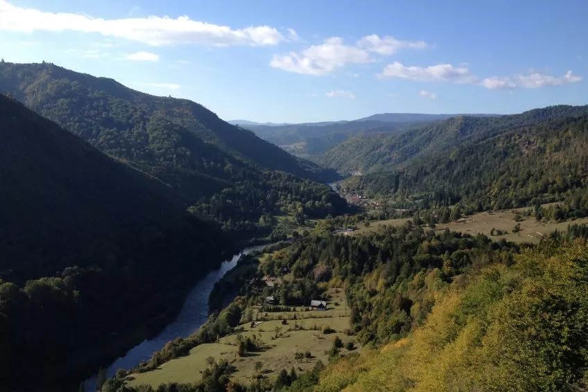 În Parcul Național Călimani, natura e în sărbătoare