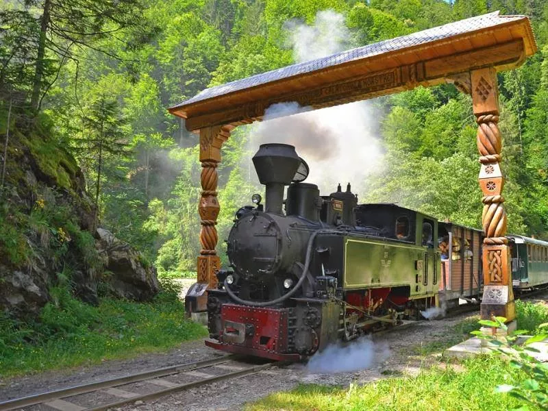 Cu mocănița pe Valea Vaserului